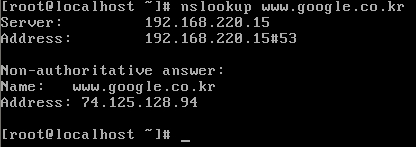 특정 DNS로 질의하기