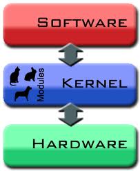 커널(Kernel)