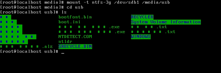 Vmware NTFS 형식의 USB 마운트(Mount)하기