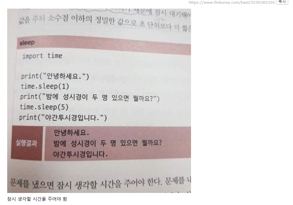 요즘 코딩 교육 근황