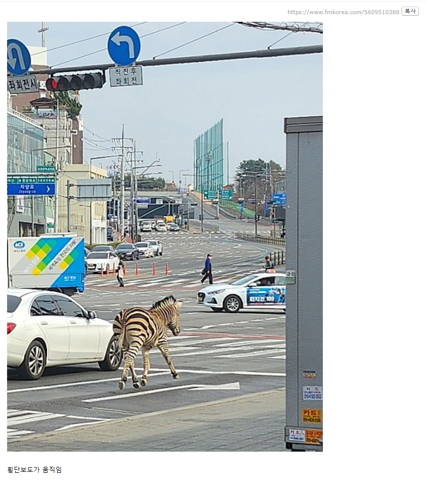 서울 한복판 실시간 근황.jpg